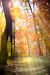 Natur- & Wellnessträume - zur Herbstzeit 